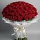 Букет 101 Красная роза Блэк Мэджик в Явасе
