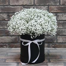 Цветочная композиция из Гипсофила в шляпной коробке в Явасе