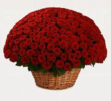 Премиум букет из: Розы в Явасе